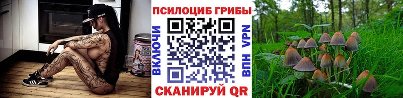 Галлюциногенные грибы ЛСД  Облучье 